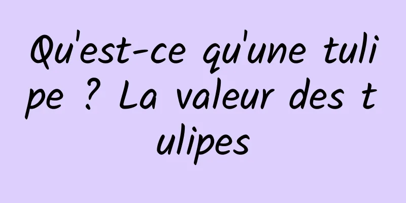 Qu'est-ce qu'une tulipe ? La valeur des tulipes