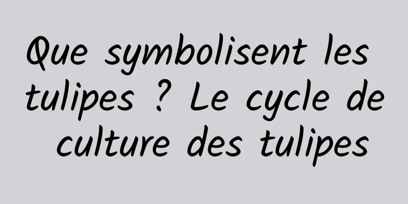 Que symbolisent les tulipes ? Le cycle de culture des tulipes