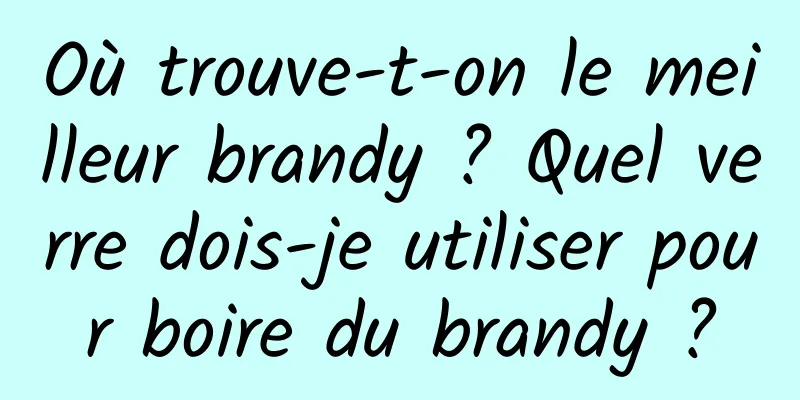 Où trouve-t-on le meilleur brandy ? Quel verre dois-je utiliser pour boire du brandy ?