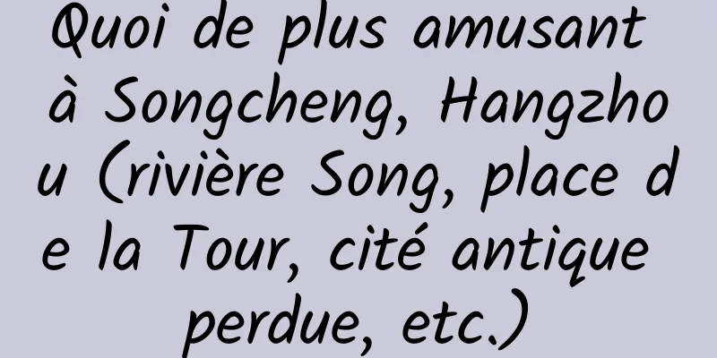 Quoi de plus amusant à Songcheng, Hangzhou (rivière Song, place de la Tour, cité antique perdue, etc.)