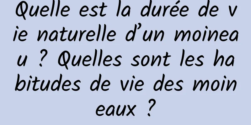 Quelle est la durée de vie naturelle d’un moineau ? Quelles sont les habitudes de vie des moineaux ?