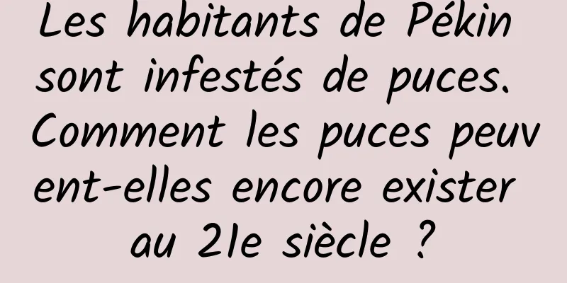 Les habitants de Pékin sont infestés de puces. Comment les puces peuvent-elles encore exister au 21e siècle ?