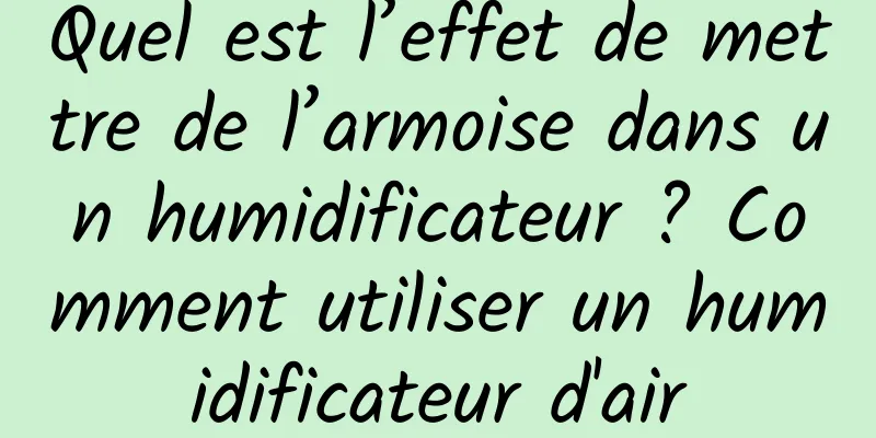 Quel est l’effet de mettre de l’armoise dans un humidificateur ? Comment utiliser un humidificateur d'air