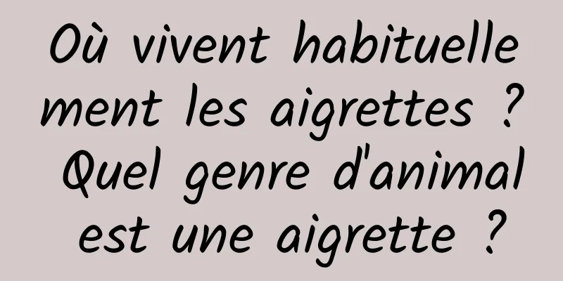 Où vivent habituellement les aigrettes ? Quel genre d'animal est une aigrette ?