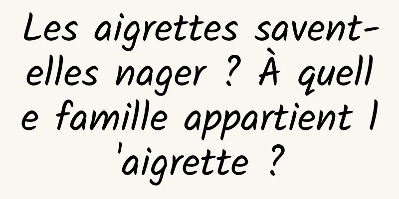 Les aigrettes savent-elles nager ? À quelle famille appartient l'aigrette ?