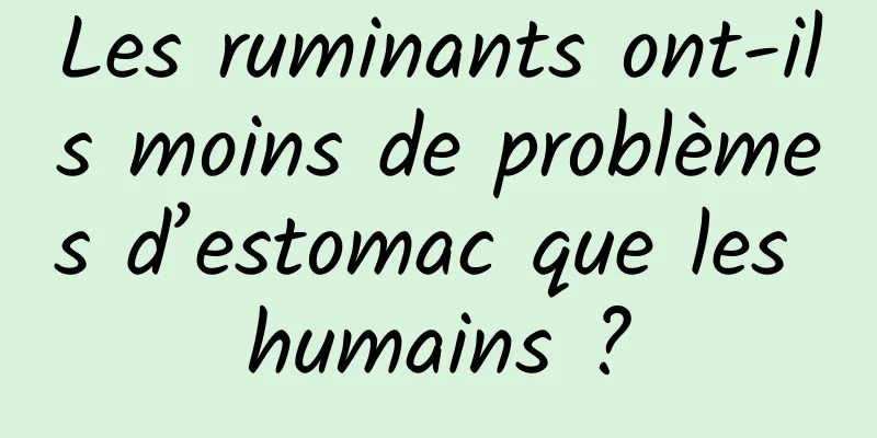 Les ruminants ont-ils moins de problèmes d’estomac que les humains ?