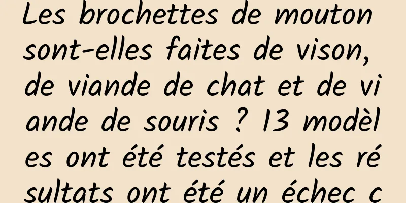 Les brochettes de mouton sont-elles faites de vison, de viande de chat et de viande de souris ? 13 modèles ont été testés et les résultats ont été un échec complet !