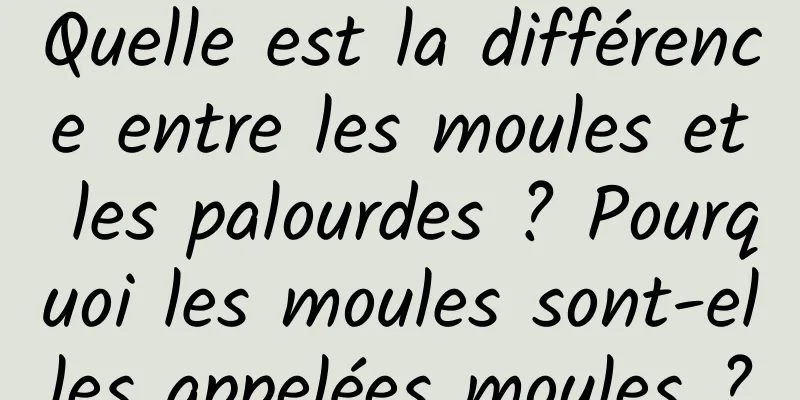Quelle est la différence entre les moules et les palourdes ? Pourquoi les moules sont-elles appelées moules ?