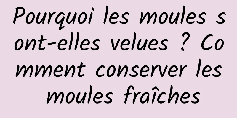 Pourquoi les moules sont-elles velues ? Comment conserver les moules fraîches