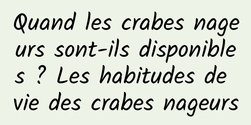 Quand les crabes nageurs sont-ils disponibles ? Les habitudes de vie des crabes nageurs