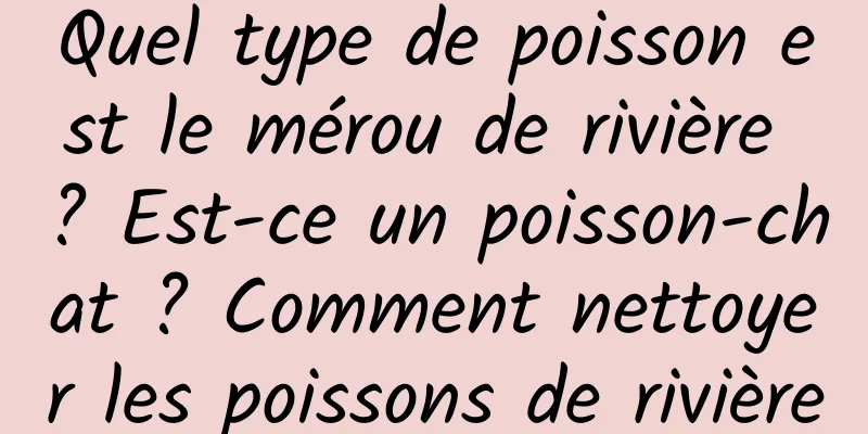 Quel type de poisson est le mérou de rivière ? Est-ce un poisson-chat ? Comment nettoyer les poissons de rivière