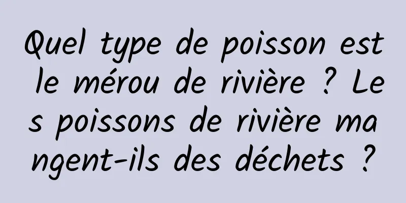 Quel type de poisson est le mérou de rivière ? Les poissons de rivière mangent-ils des déchets ?