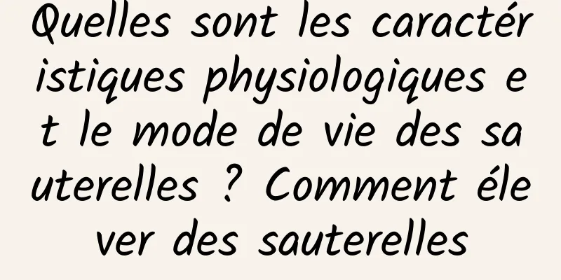 Quelles sont les caractéristiques physiologiques et le mode de vie des sauterelles ? Comment élever des sauterelles