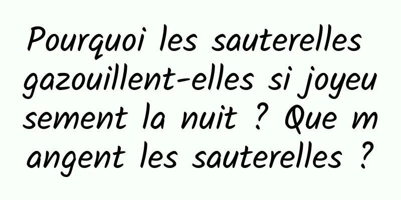 Pourquoi les sauterelles gazouillent-elles si joyeusement la nuit ? Que mangent les sauterelles ?