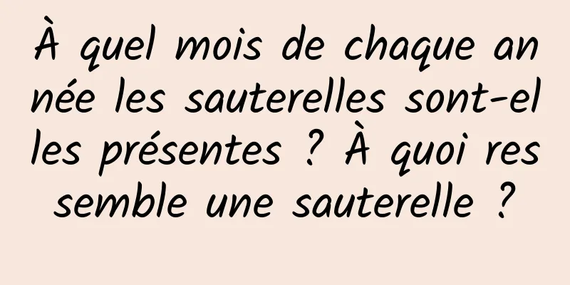 À quel mois de chaque année les sauterelles sont-elles présentes ? À quoi ressemble une sauterelle ?