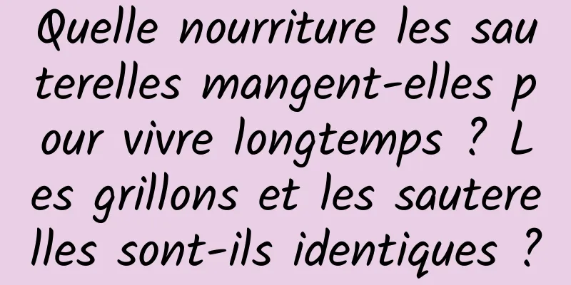 Quelle nourriture les sauterelles mangent-elles pour vivre longtemps ? Les grillons et les sauterelles sont-ils identiques ?