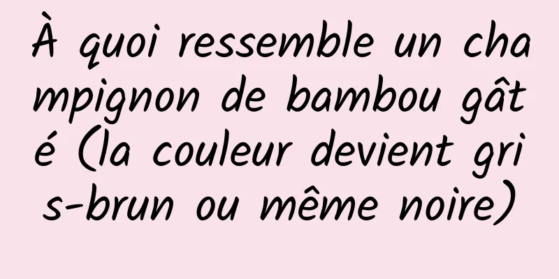 À quoi ressemble un champignon de bambou gâté (la couleur devient gris-brun ou même noire)