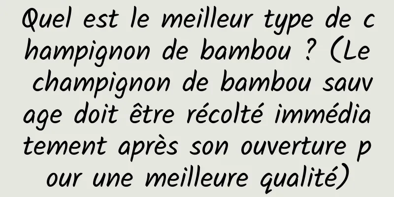 Quel est le meilleur type de champignon de bambou ? (Le champignon de bambou sauvage doit être récolté immédiatement après son ouverture pour une meilleure qualité)