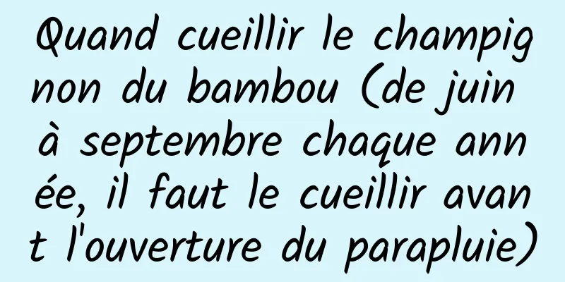 Quand cueillir le champignon du bambou (de juin à septembre chaque année, il faut le cueillir avant l'ouverture du parapluie)
