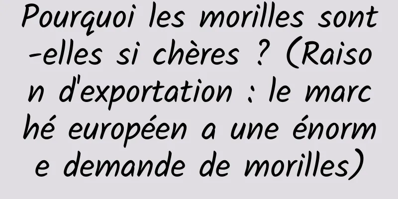 Pourquoi les morilles sont-elles si chères ? (Raison d'exportation : le marché européen a une énorme demande de morilles)