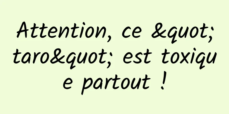 Attention, ce "taro" est toxique partout !