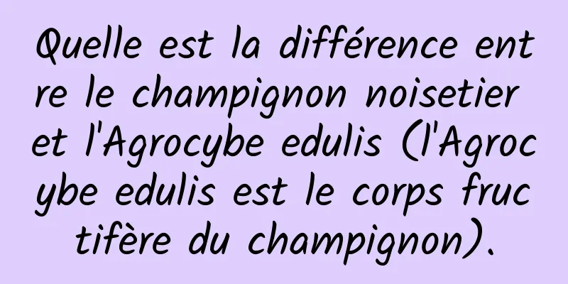 Quelle est la différence entre le champignon noisetier et l'Agrocybe edulis (l'Agrocybe edulis est le corps fructifère du champignon).