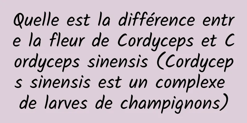 Quelle est la différence entre la fleur de Cordyceps et Cordyceps sinensis (Cordyceps sinensis est un complexe de larves de champignons)