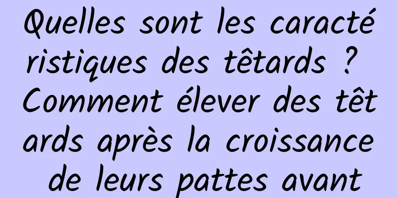 Quelles sont les caractéristiques des têtards ? Comment élever des têtards après la croissance de leurs pattes avant