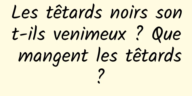 Les têtards noirs sont-ils venimeux ? Que mangent les têtards ?