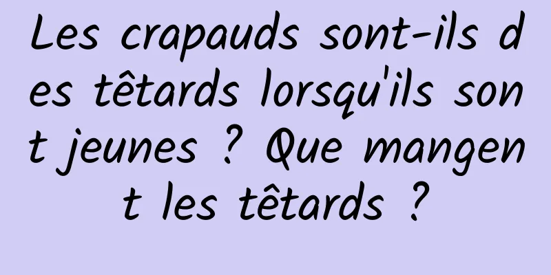 Les crapauds sont-ils des têtards lorsqu'ils sont jeunes ? Que mangent les têtards ?