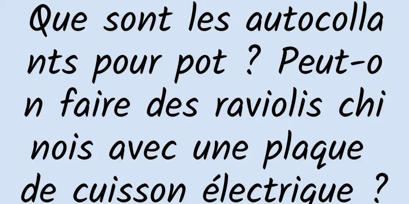 Que sont les autocollants pour pot ? Peut-on faire des raviolis chinois avec une plaque de cuisson électrique ?