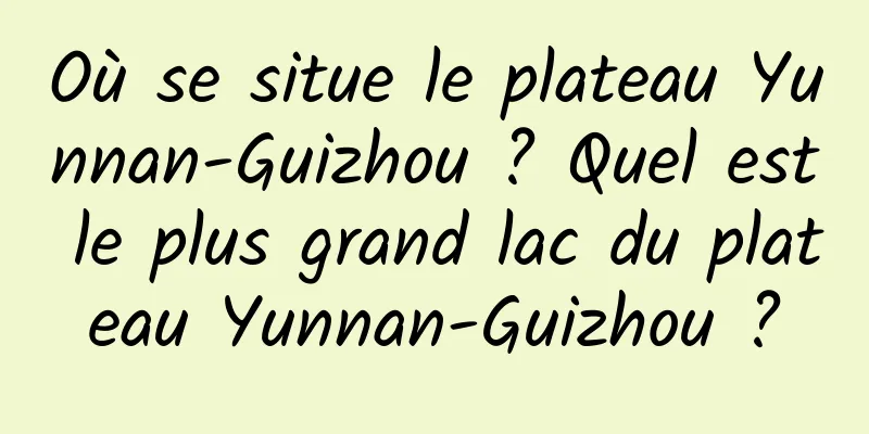 Où se situe le plateau Yunnan-Guizhou ? Quel est le plus grand lac du plateau Yunnan-Guizhou ?