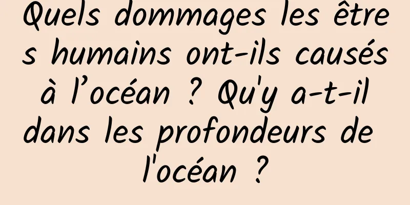Quels dommages les êtres humains ont-ils causés à l’océan ? Qu'y a-t-il dans les profondeurs de l'océan ?