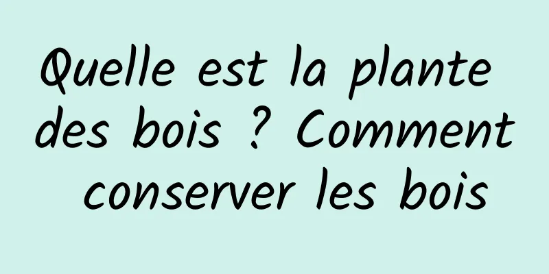 Quelle est la plante des bois ? Comment conserver les bois