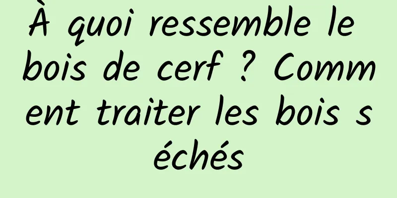 À quoi ressemble le bois de cerf ? Comment traiter les bois séchés