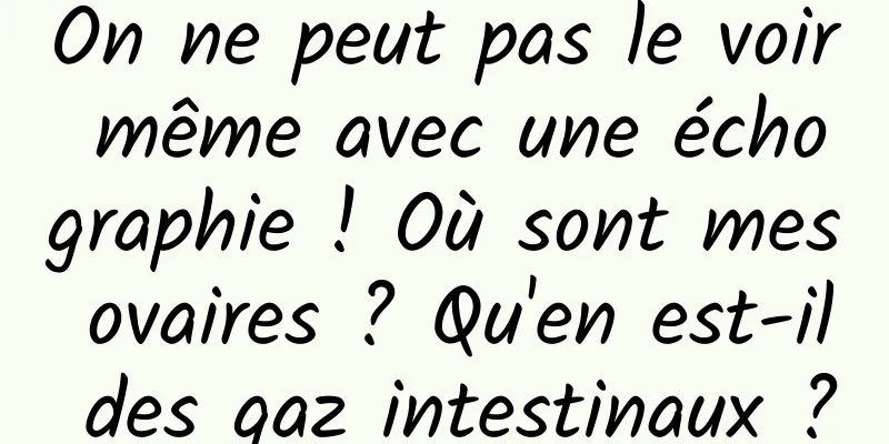 On ne peut pas le voir même avec une échographie ! Où sont mes ovaires ? Qu'en est-il des gaz intestinaux ?