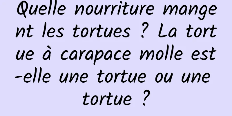 Quelle nourriture mangent les tortues ? La tortue à carapace molle est-elle une tortue ou une tortue ?