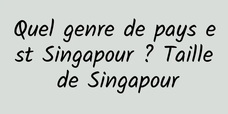 Quel genre de pays est Singapour ? Taille de Singapour