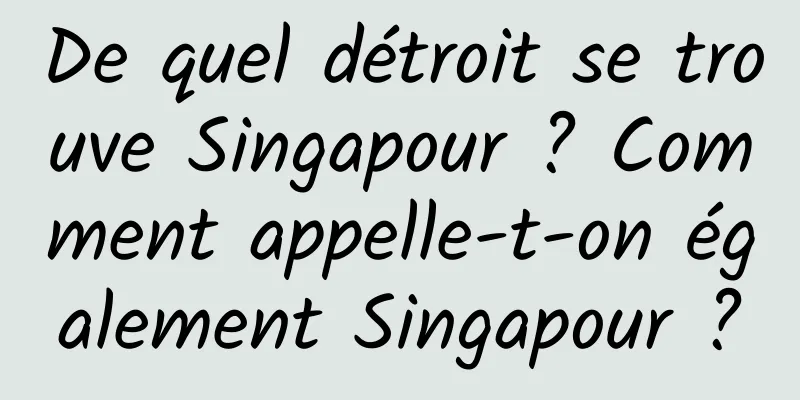 De quel détroit se trouve Singapour ? Comment appelle-t-on également Singapour ?
