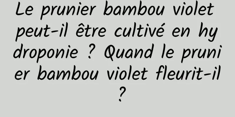 Le prunier bambou violet peut-il être cultivé en hydroponie ? Quand le prunier bambou violet fleurit-il ?