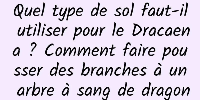 Quel type de sol faut-il utiliser pour le Dracaena ? Comment faire pousser des branches à un arbre à sang de dragon