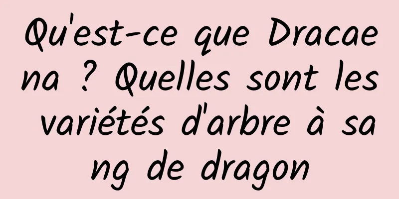 Qu'est-ce que Dracaena ? Quelles sont les variétés d'arbre à sang de dragon