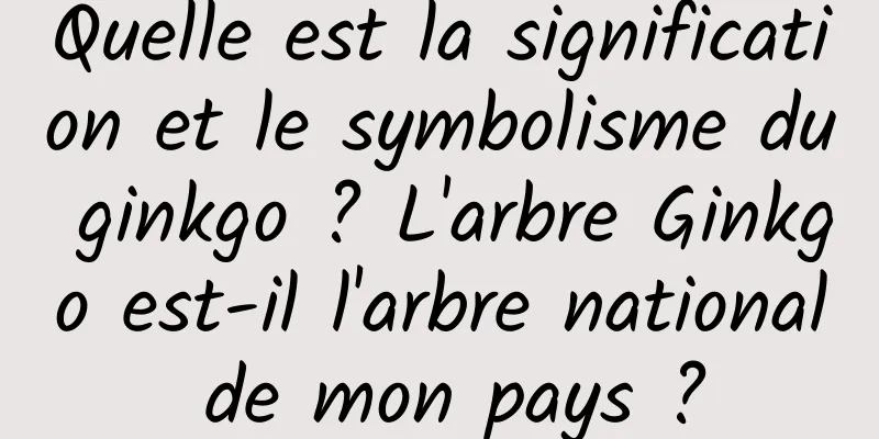 Quelle est la signification et le symbolisme du ginkgo ? L'arbre Ginkgo est-il l'arbre national de mon pays ?