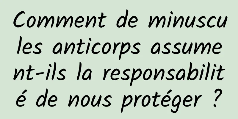 Comment de minuscules anticorps assument-ils la responsabilité de nous protéger ?