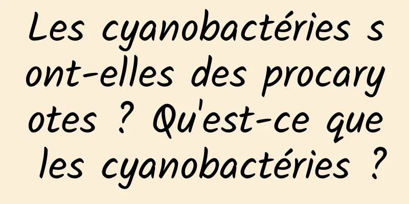 Les cyanobactéries sont-elles des procaryotes ? Qu'est-ce que les cyanobactéries ?