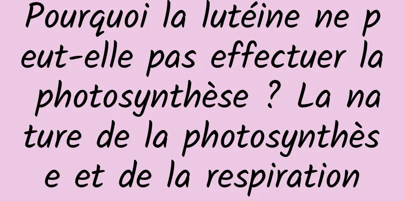 Pourquoi la lutéine ne peut-elle pas effectuer la photosynthèse ? La nature de la photosynthèse et de la respiration