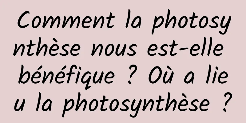 Comment la photosynthèse nous est-elle bénéfique ? Où a lieu la photosynthèse ?