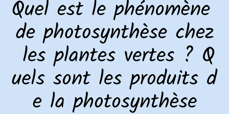 Quel est le phénomène de photosynthèse chez les plantes vertes ? Quels sont les produits de la photosynthèse