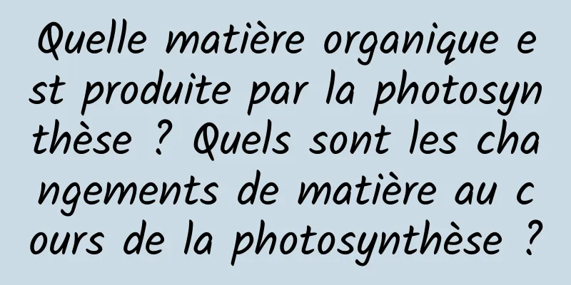 Quelle matière organique est produite par la photosynthèse ? Quels sont les changements de matière au cours de la photosynthèse ?