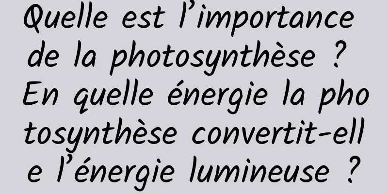 Quelle est l’importance de la photosynthèse ? En quelle énergie la photosynthèse convertit-elle l’énergie lumineuse ?